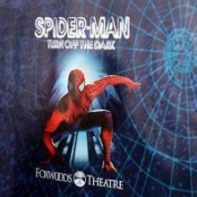 UN DÍA COMO HOY: SPIDER-MAN: TURN OFF THE DARK se estrenaba en Broadway