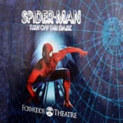 UN D&Iacute;A COMO HOY: SPIDER-MAN: TURN OFF THE DARK se estrenaba en Broadway