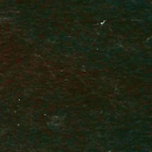 The Higher Releases Title Track to Forthcoming 'Elvis in Wonderland' EP