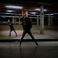 Dance Theatre Of Harlem Presents FIREBIRD