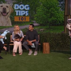 Dog Expert Jaime Goodrich Answers Staff Pet Questions on LIVE WITH KELLY AND MARK