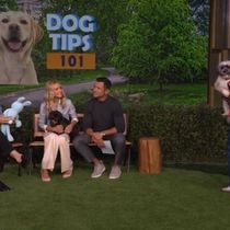 Dog Expert Jaime Goodrich Answers Staff Pet Questions on LIVE WITH KELLY AND MARK