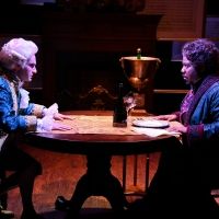 BWW Review: OPERA SAN JOSE'S MOZART AND SALIERI at Home Computer Screens
