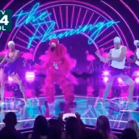VIDEO: FOX Debuts New Promo for Season 2 of THE MASKED SINGER