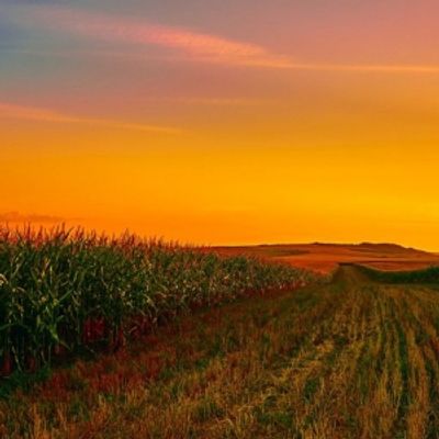 Student Blog: Summer Stock: OKLAHOMA!