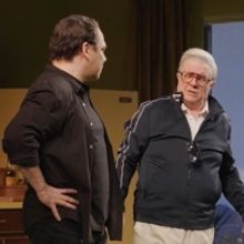 Video: See Highlights From PICTURES FROM HOME On Broadway, Starring Nathan Lane, Dann
