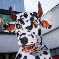 Perth Theatre Announces JACK AND THE BEANSTALK Panto