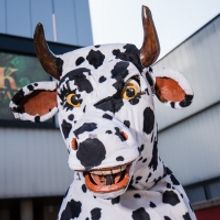 Perth Theatre Announces JACK AND THE BEANSTALK Panto