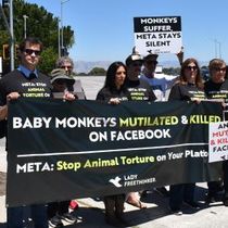 CRUELTY FOR CLICKS Documentary to Premiere at Indiewood Film Festival