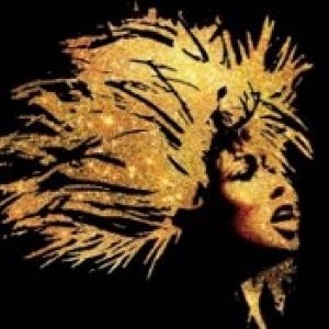 TINA: THE TINA TURNER MUSICAL On Sale Tomorrow Cadillac Palace Theatre
