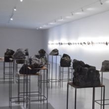 Habitar El Colapso. Cynthia Gutiérrez, Una Reflexión En Torno A Lo Real, La Identid