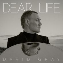 David Gray’s New Studio Album 'Dear Life' Now Available