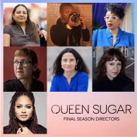 OWN TV's QUEEN SUGAR Final Season Now Filming in New Orleans