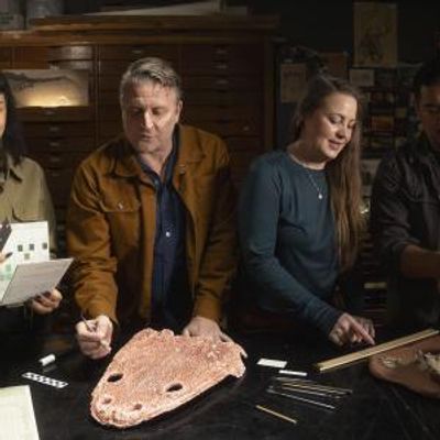 EONS: LIFE AND DEATH ON PANGEA to Air Tusks and Saber Teeth Episode