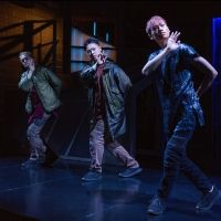 Review: COCKROACH at Tarragon Theatre