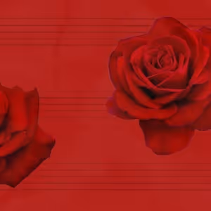 LEND ME A TENOR Comes to Portland Stage