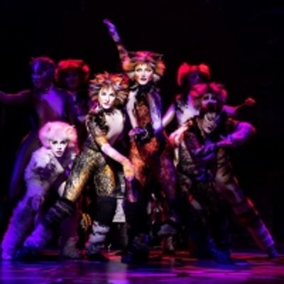 BWW Review: CATS at Majestic Theatre