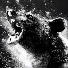 COCAINE BEAR Sets Peacock Premiere Streaming Date