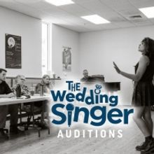 The Naples Players Announce Auditions And Workshops For THE WEDDING SINGER
