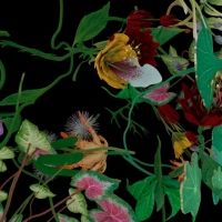Museum Of Wild And Newfangled Art's Opening Exhibition Curated By Artificial…