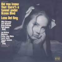 Lana Del Rey Drops New Album 'Did you know that there's a tunnel under Ocean Blvd?'