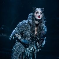 Tickets for CATS Go On Sale August 23 for Music Hall At Fair Park Engagement