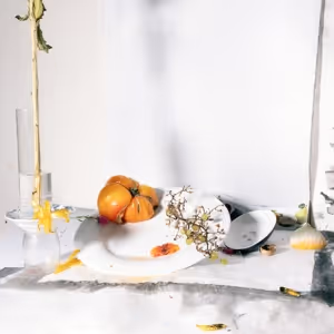 Yancey Richardson to Present Exhibition of New Photographs by Laura Letinsky