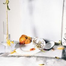 Yancey Richardson to Present Exhibition of New Photographs by Laura Letinsky