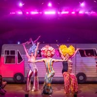 Photos & Video: First Look at PRISCILLA QUEEN OF THE DESERT at Mercury Theater…