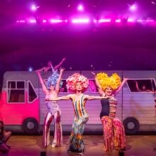 Photos & Video: First Look at PRISCILLA QUEEN OF THE DESERT at Mercury Theater Chicag