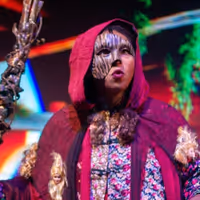Review: INTO THE WOODS at Wisteria Theater Photo