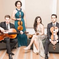 Catalyst Quartet Performs at the LOT OF STRINGS MUSIC FESTIVAL at The Morris Museum