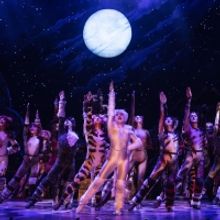 BWW Review: CATS Makes A Triumphant Return to Ottawa at the National Arts Centre