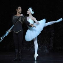 Birmingham Royal Ballet Glides Into 2020 With UK Tour Of SWAN LAKE