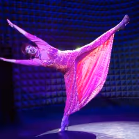 DANCE NOW's 26th Season to Kick Off with DANCE NOW FAMILY REUNION