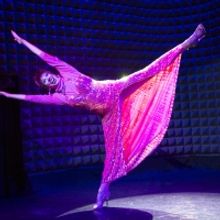 DANCE NOW's 26th Season to Kick Off with DANCE NOW FAMILY REUNION