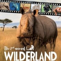 8 New Short Films Announced For Wilderland Wildlife Film Festival