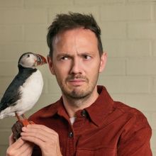 Comedian Stuart Laws to Return to Edinburgh Fringe With STUART LAWS IS STUCK and More