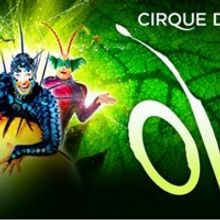 OVO From Cirque Du Soleil Announced At Thompson-Boling Arena For 7 Performances Only