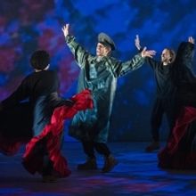 Review: DOGS OF EUROPE – ADELAIDE FESTIVAL 2023 at Dunstan Playhouse, Adelaide Fest