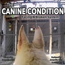 THE CANINE CONDITION: FACING A BROKEN SYSTEM Documentary Short To Compete At The 19th