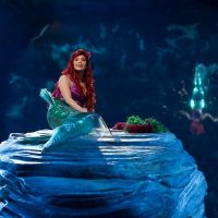 VIDEO: Watch Auli'i Cravalho, Queen Latifah, Shaggy, and More in Highlights From THE… Video