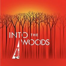 Student Blog: Moments In The Woods