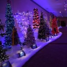 Be a Part of Pittsburgh CLO's A MUSICAL CHRISTMAS CAROL Holiday Tree Tradition