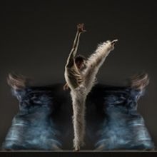 Harris Theater Reveals 2026-27 Season