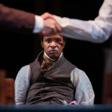 BWW Review: THE WHIP, Swan Theatre