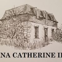 City Theatre brings premiere play ANNA CATHERINE IFF to Austin.