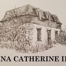 City Theatre brings premiere play ANNA CATHERINE IFF to Austin. 