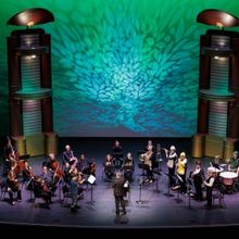 Palm Beach Symphony's Adventures Of Peter And The Wolf Receives Broadcast Premiere