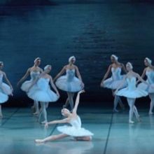 Russian Ballet Theatre's SWAN LAKE Comes To Popejoy Hall